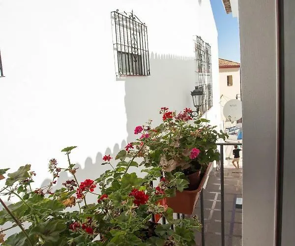 Monko - Mango & Tropycal O * Torremolinos